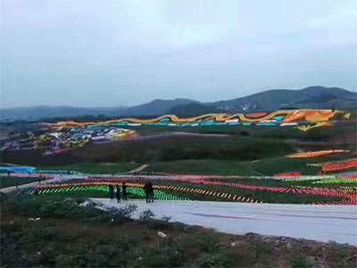 Longfeng Peony Garden in Yangxian County, Hanzhong, Shaanxi